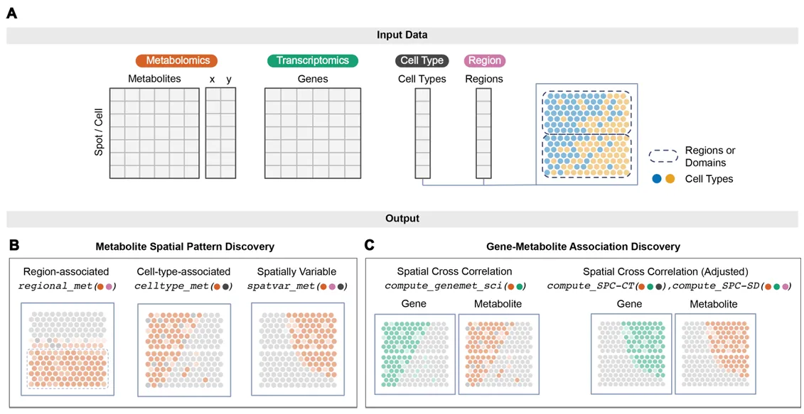 MANTIS: Analytics toolkit for spatial metabolomics with matching spatial transcriptomics data